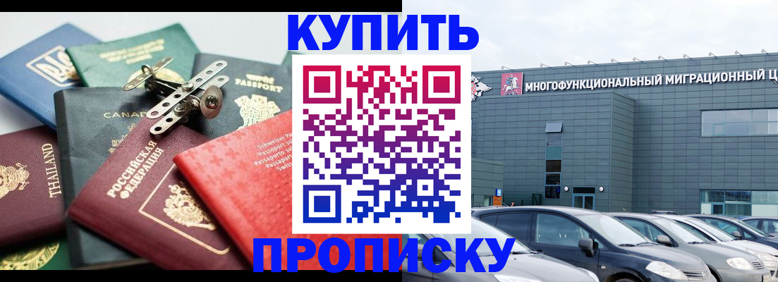 регистрация для школы в Зеленогорске